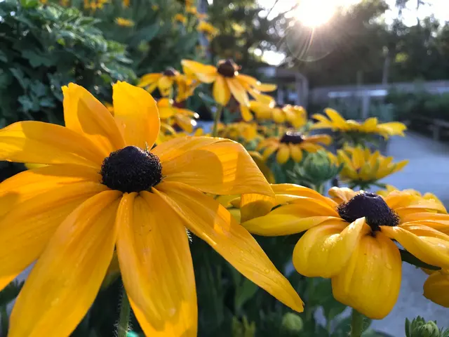 The Growing Place Garden Center — photo from the business 10