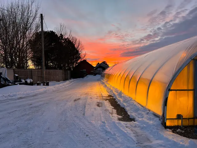 The Growing Place Garden Center — photo from the business 4