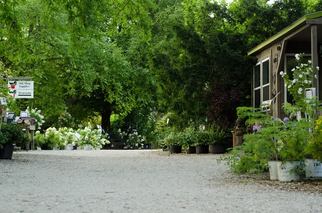 The Growing Place Garden Center — photo from the business 5