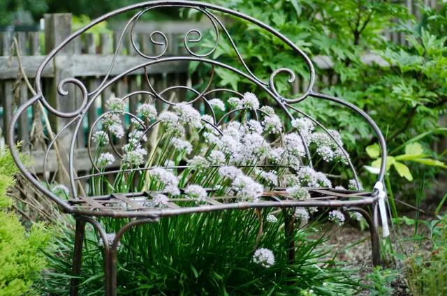 The Growing Place Garden Center — photo from the business 9