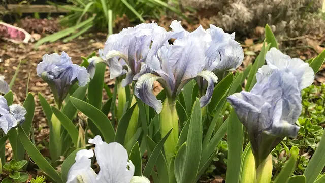 The Growing Place Garden Center — photo from the business 8