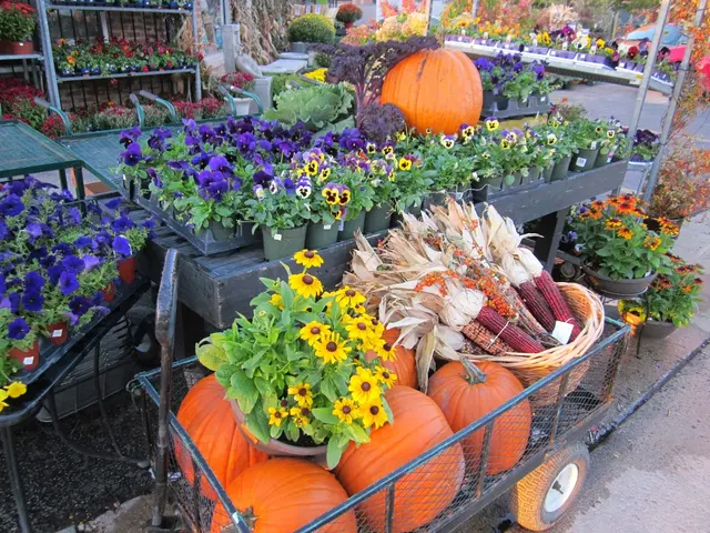 Tallgrass Garden by Christy Webber — photo from the business 5