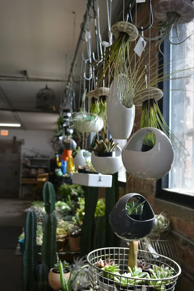 Tallgrass Garden by Christy Webber — photo from the business 12