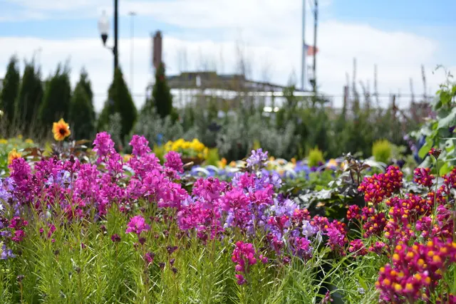 Tallgrass Garden by Christy Webber — photo from the business 4