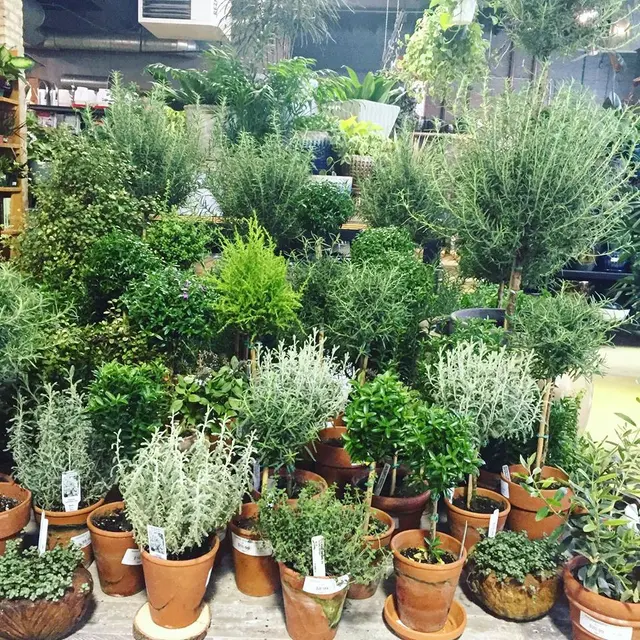 Tallgrass Garden by Christy Webber — photo from the business 2