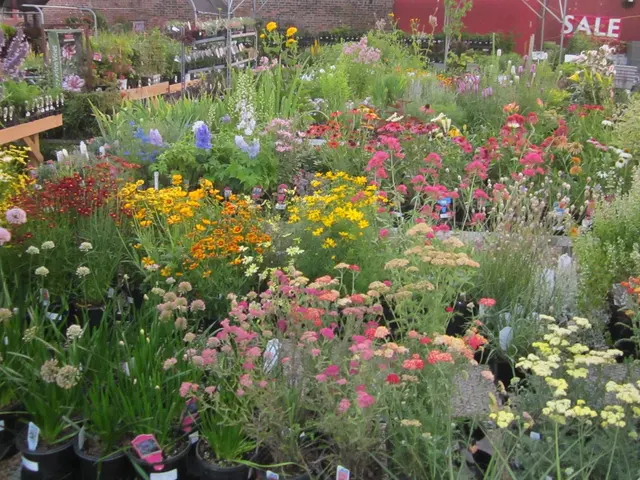 Tallgrass Garden by Christy Webber — photo from the business 3