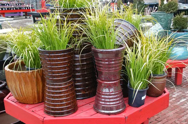 Tallgrass Garden by Christy Webber — photo from the business 6