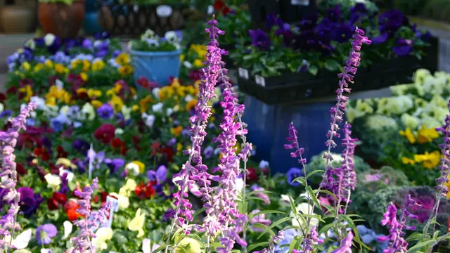 Empowering Gardens — photo from the business 2