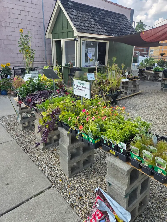 Empowering Gardens — customer photo 4