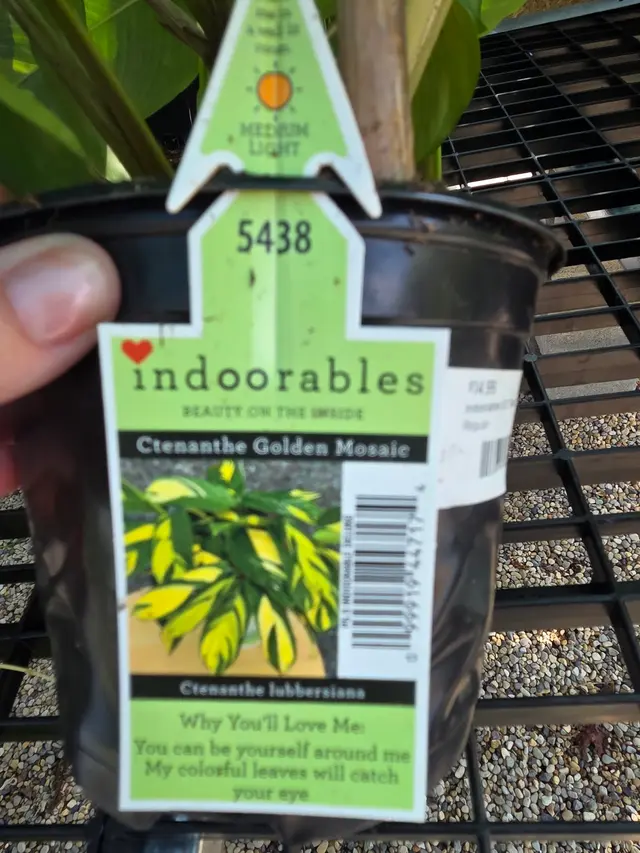 Empowering Gardens — customer photo 11