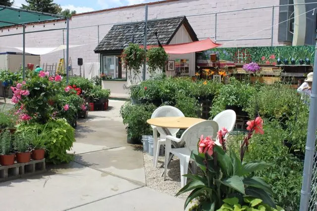 Empowering Gardens — photo from the business 5