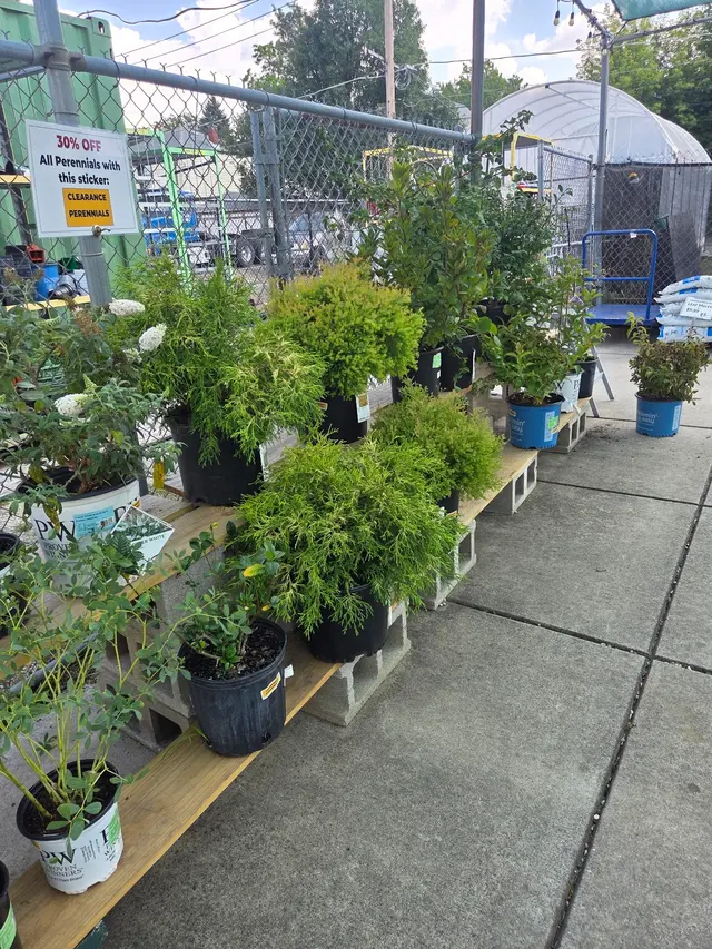 Customer photo of work by Empowering Gardens, from Avra Robinson's review