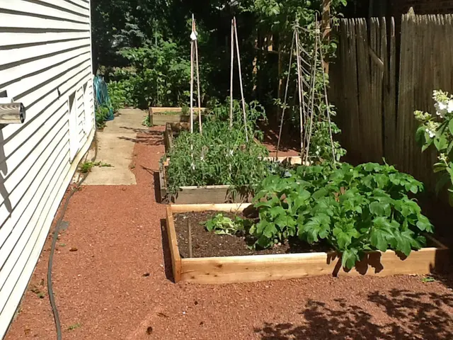 A Garden Guy Landscaping — customer photo 5