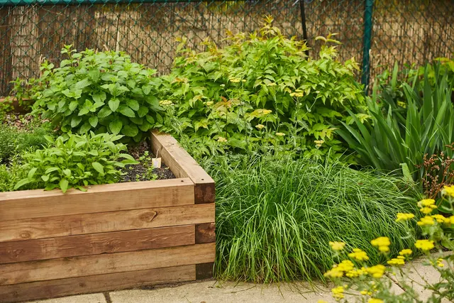 Nurtured Roots Gardening — photo from the business 3