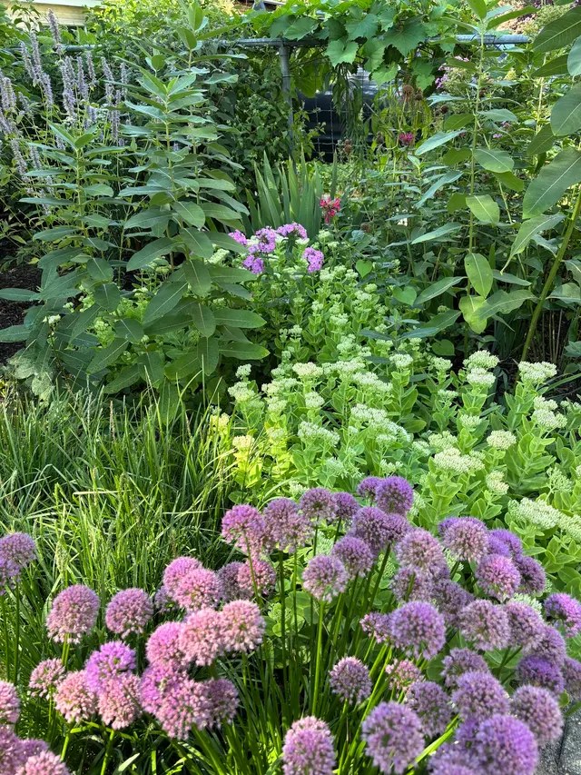 Nurtured Roots Gardening — photo from the business 4