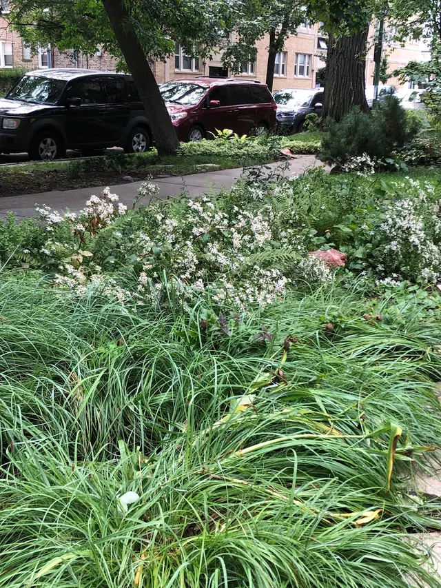 Nurtured Roots Gardening — photo from the business 7