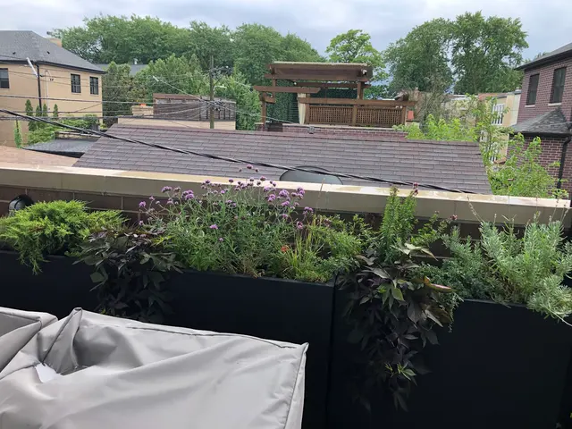 Nurtured Roots Gardening — customer photo 12