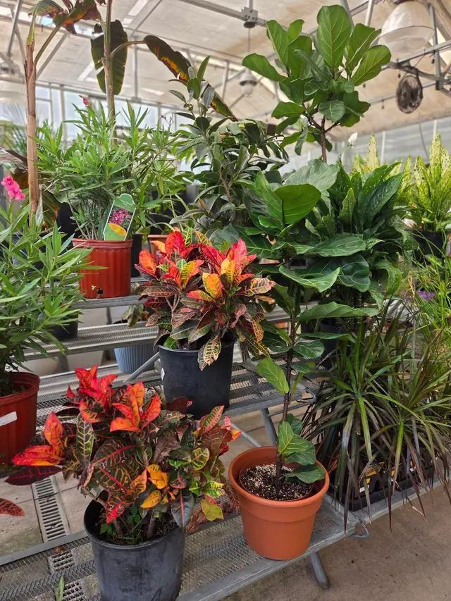 Customer photo of work by Good Earth Greenhouse LLC, from Avra Robinson's review