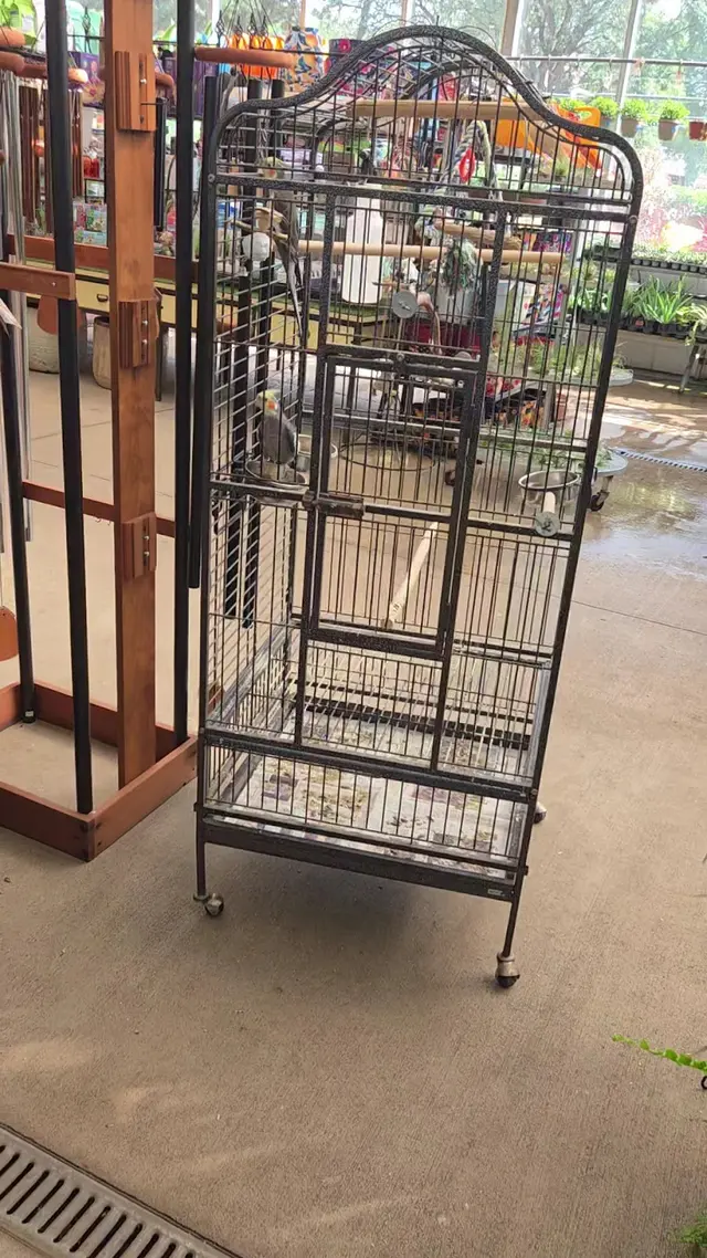 Customer photo of work by Good Earth Greenhouse LLC, from Avra Robinson's review