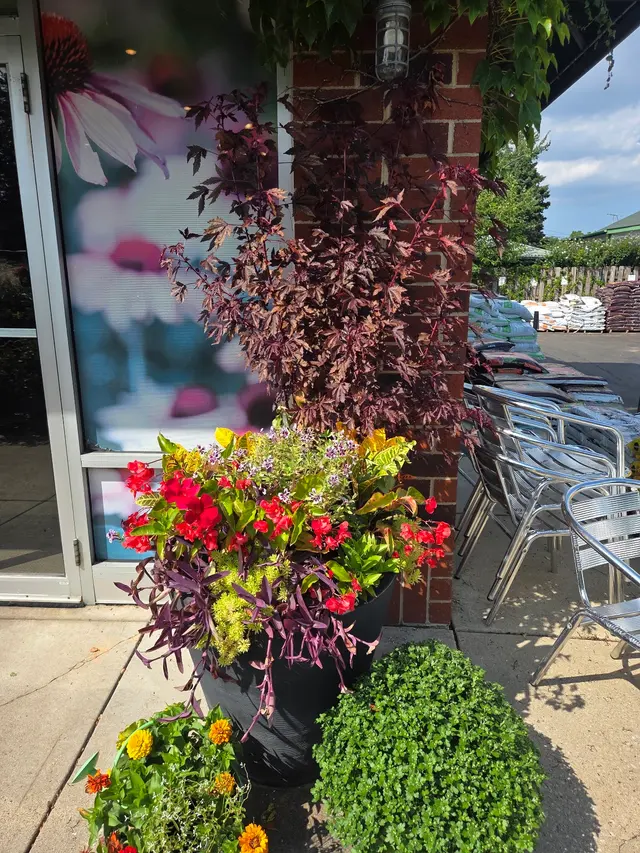 Customer photo of work by Good Earth Greenhouse LLC, from Avra Robinson's review