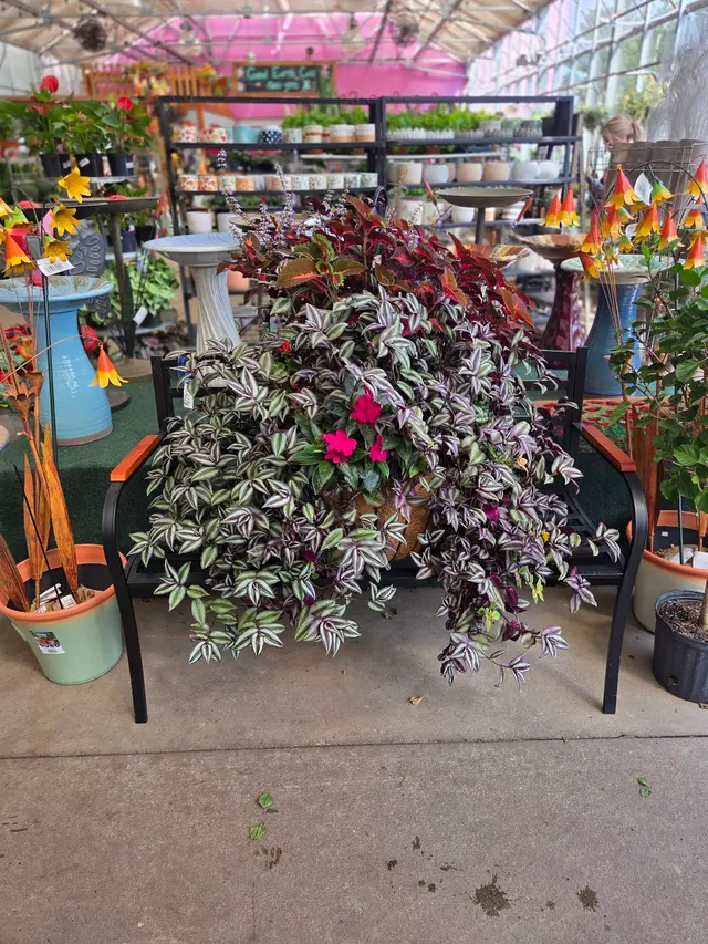 Customer photo of work by Good Earth Greenhouse LLC, from Avra Robinson's review
