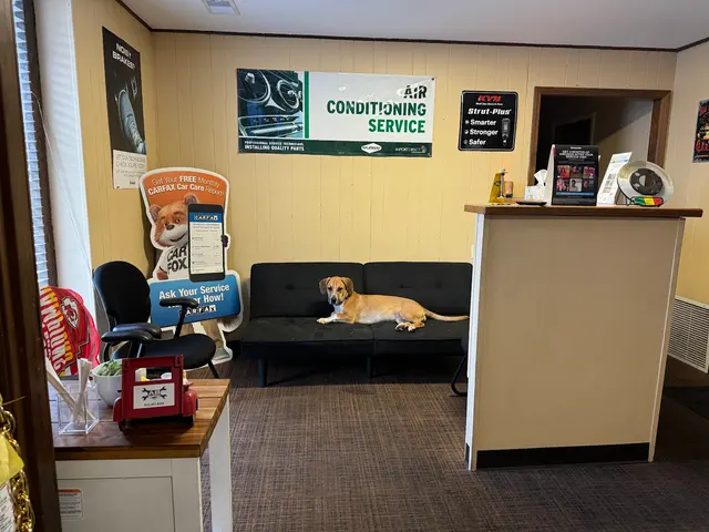 AB Auto Repair — photo from the business 9