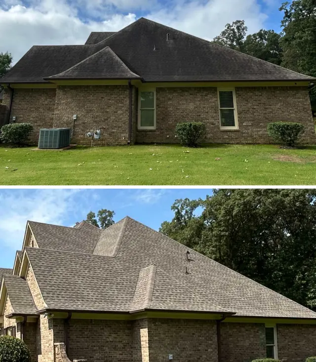 The Window Guy Window Cleaning and Pressure Washing — photo from the business 3