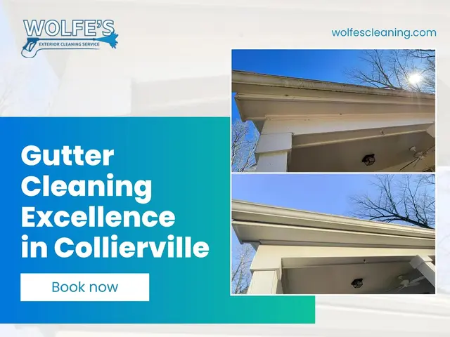 Wolfe's Pressure Washing & Exterior Cleaning — photo from the business 1
