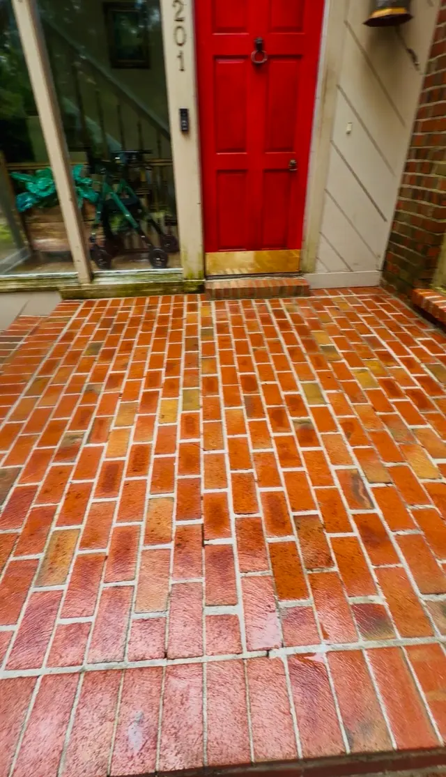 Pressure Wash 901 — photo from the business 6