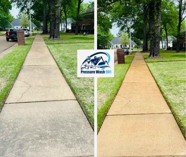 Pressure Wash 901 — photo from the business 12