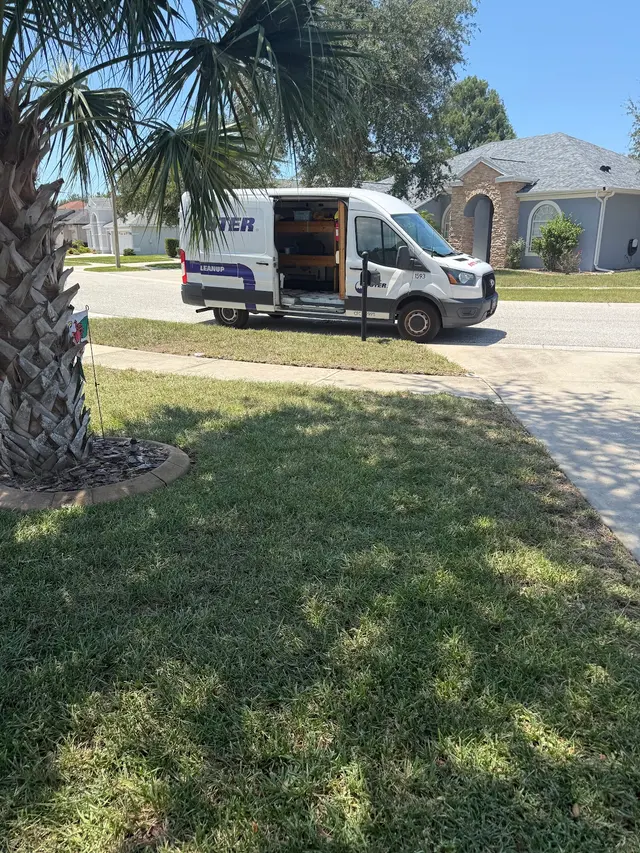 Customer photo from Carol's review
