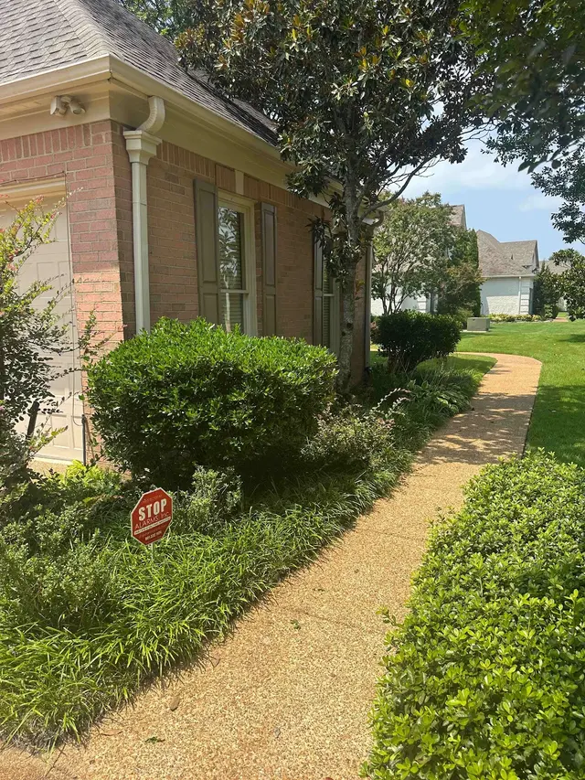 Customer photo of work by TAG Pressure Wash LLC, from Dori Green's review