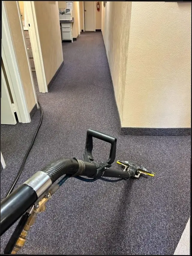 Summit Carpet Cleaning — customer photo 9
