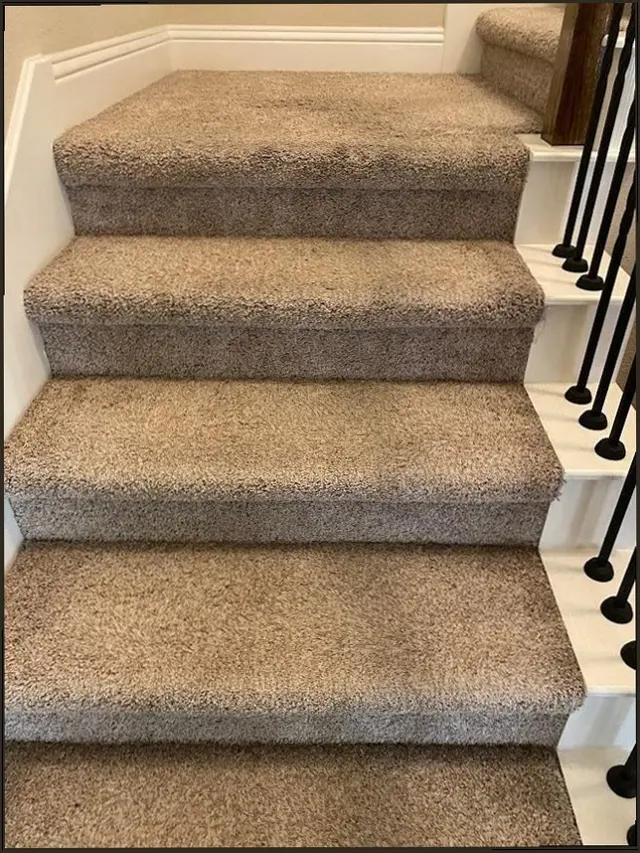 Summit Carpet Cleaning — customer photo 11