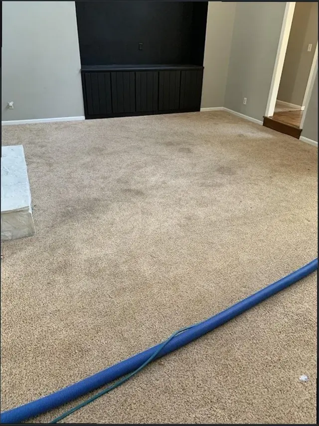 Summit Carpet Cleaning — customer photo 3