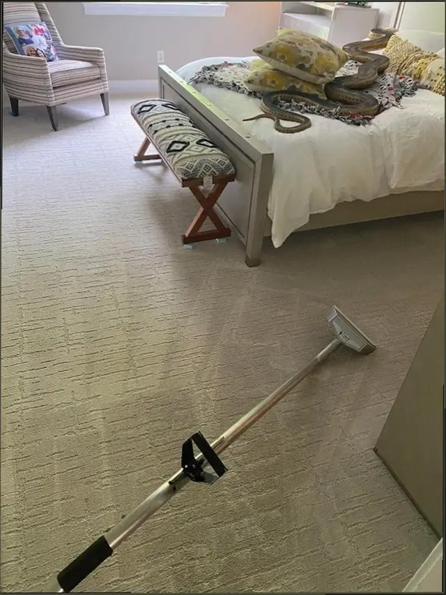 Summit Carpet Cleaning — customer photo 5