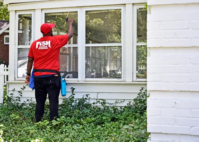 Fish Window Cleaning — photo from the business 8