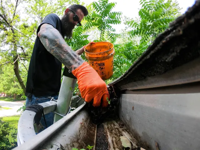 Luke The Window Cleaner — photo from the business 6