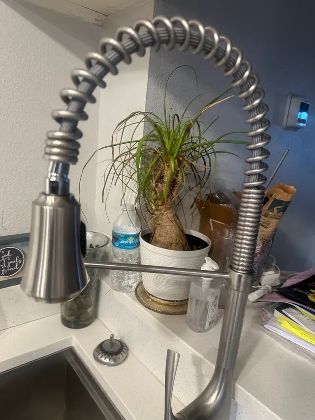 Customer photo from Annie's review