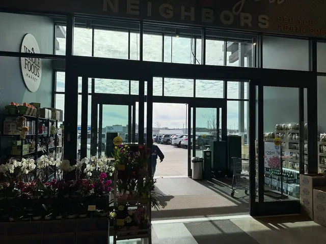 Alternative Window Cleaning — photo from the business 11