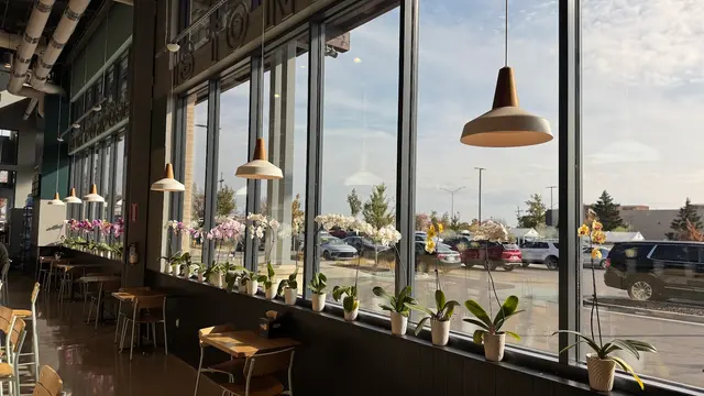 Alternative Window Cleaning — photo from the business 1
