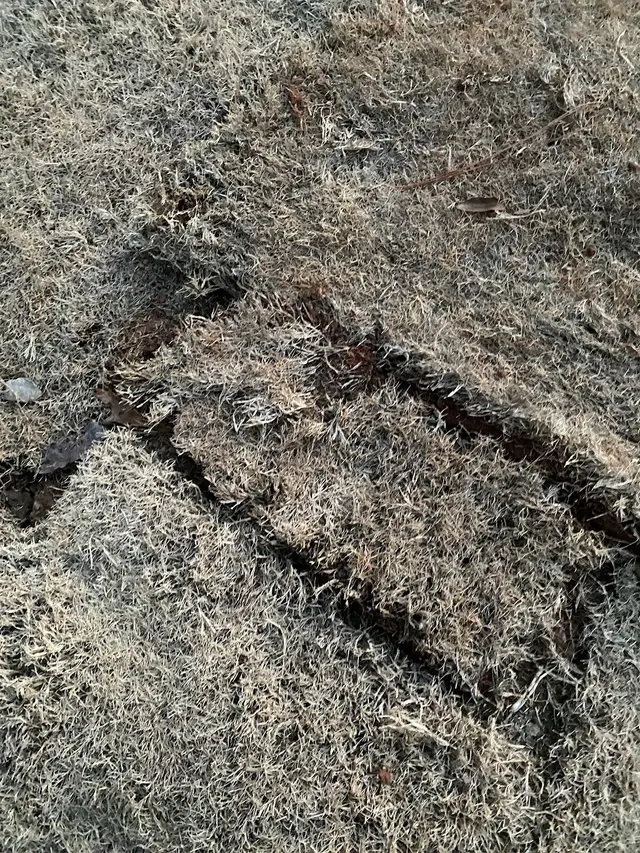 Customer photo of work by Stepping Stones Lawns and Landscaping, from Chris H.'s review