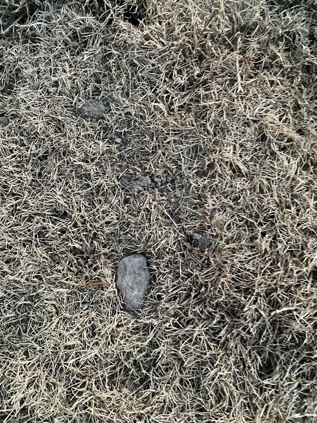 Customer photo of work by Stepping Stones Lawns and Landscaping, from Chris H.'s review