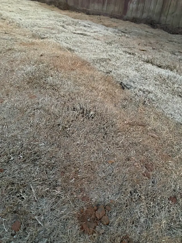 Customer photo of work by Stepping Stones Lawns and Landscaping, from Chris H.'s review