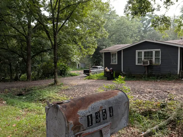 1354 Sod Irrigation & Landscaping — photo from the business 6