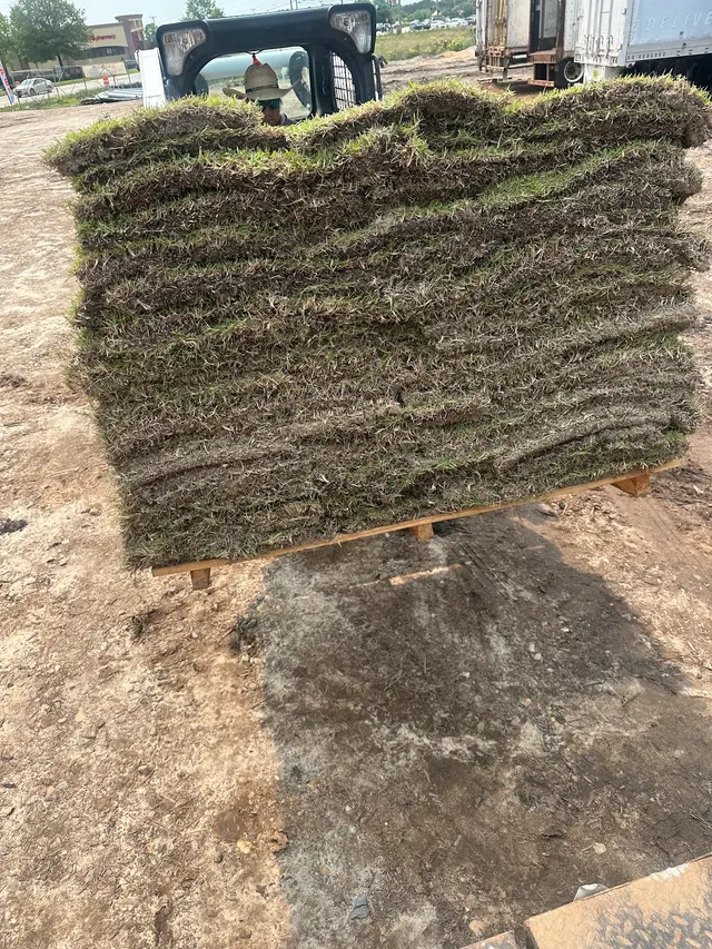 1354 Sod Irrigation & Landscaping — photo from the business 8