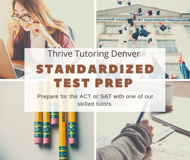 Thrive Tutoring Denver — photo from the business 10