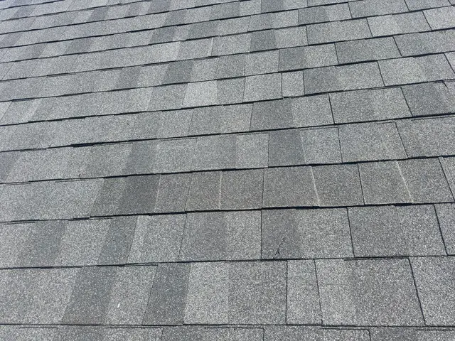 Customer photo from Chip's review