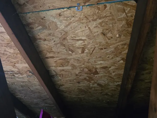Customer photo from Nick's review