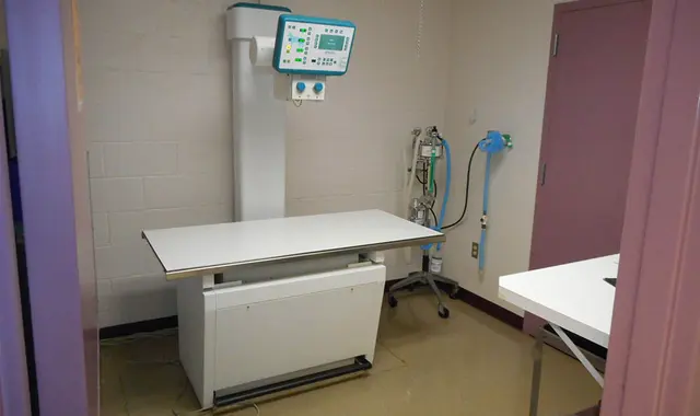 Manzano Animal Clinic — photo from the business 8